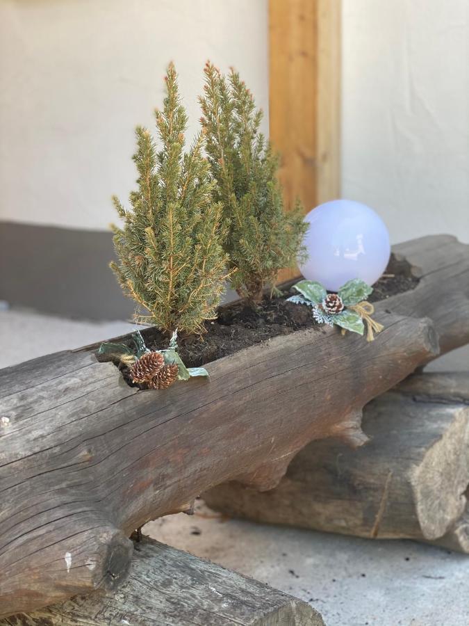 Ferienwohnung Natururlaub Muggenbrunn 托特瑙 外观 照片