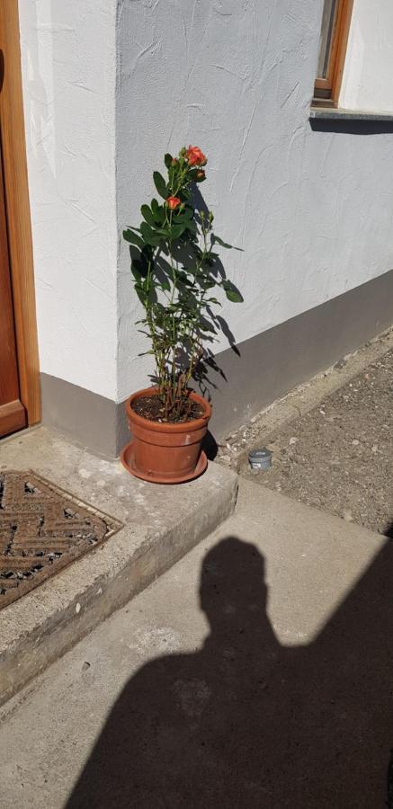 Ferienwohnung Natururlaub Muggenbrunn 托特瑙 外观 照片