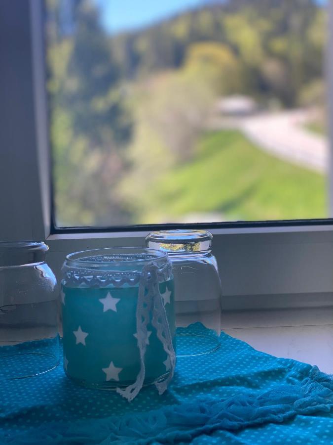Ferienwohnung Natururlaub Muggenbrunn 托特瑙 外观 照片